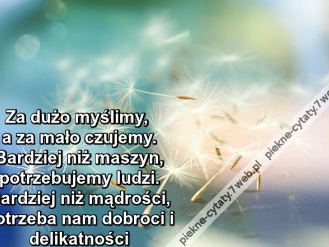 Za dużo myślimy, a za mało czujemy. Bardziej niż maszyn, potrzebujemy ludzi. Bardziej niż mądrości, potrzeba nam dobroci i delikatności