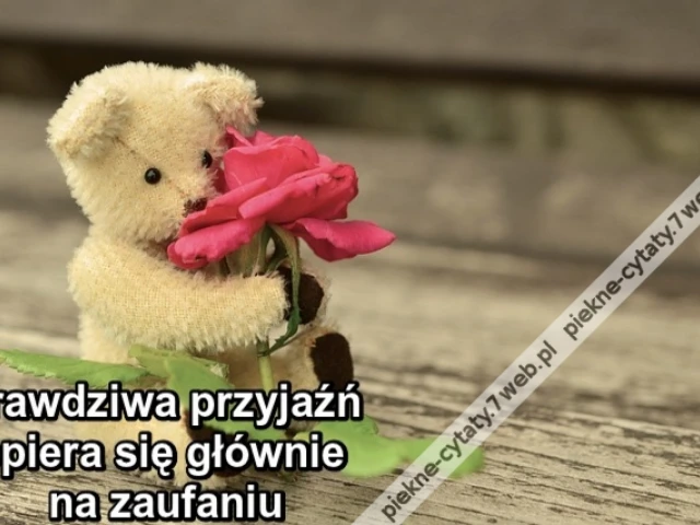 Prawdziwa przyjaźń opiera się głównie na zaufaniu