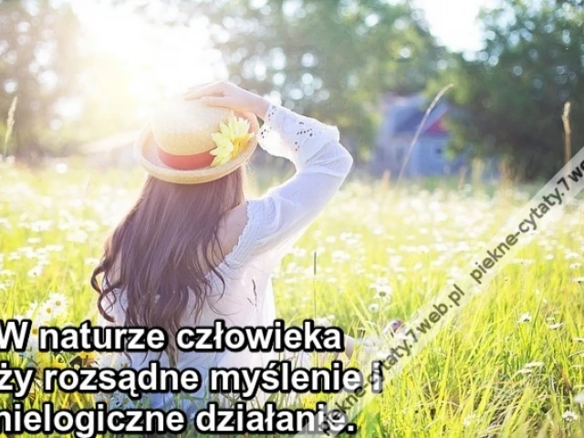 W naturze człowieka leży rozsądne myślenie i nielogiczne działanie.