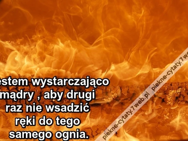 Jestem wystarczająco mądry , aby drugi raz nie wsadzić ręki do tego samego ognia.