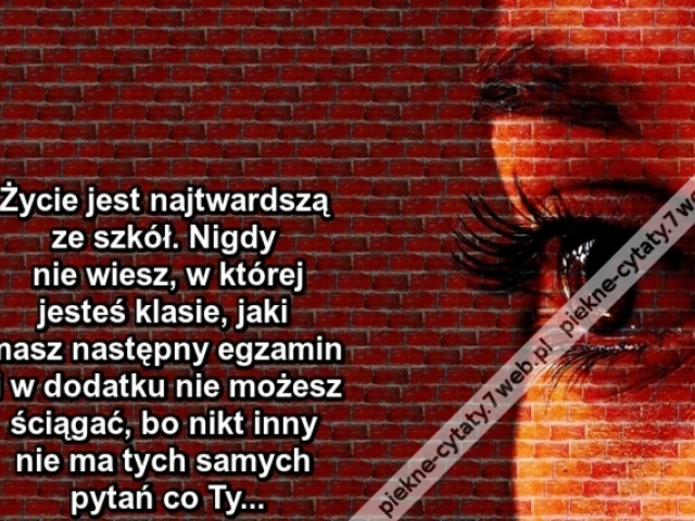 Życie jest najtwardszą ze szkół. Nigdy nie wiesz, w której jesteś klasie, jaki masz następny egzamin i w dodatku nie możesz ściągać, bo nikt inny nie ma tych samych pytań co Ty...