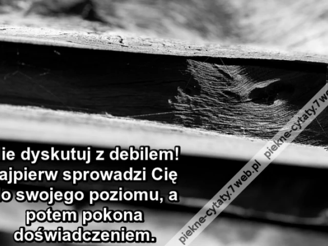 Nie dyskutuj z debilem! Najpierw sprowadzi Cię do swojego poziomu, a potem pokona doświadczeniem.