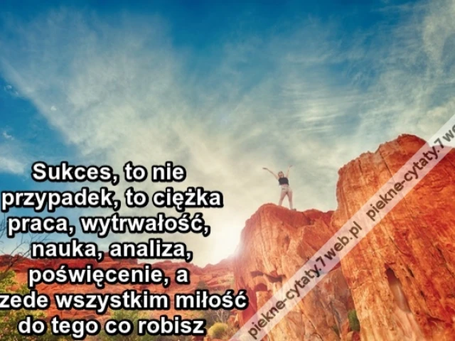 Sukces, to nie przypadek, to ciężka praca, wytrwałość, nauka, analiza, poświęcenie, a przede wszystkim miłość do tego co robisz