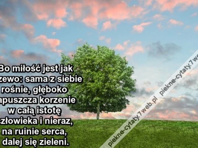 Bo miłość jest jak drzewo: sama z siebie rośnie, głęboko zapuszcza korzenie w całą istotę człowieka i nieraz, na ruinie serca, dalej się zieleni.