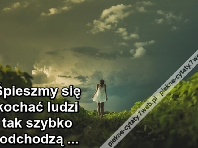 Śpieszmy się kochać ludzi tak szybko odchodzą ...