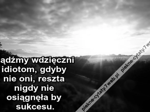 Bądźmy wdzięczni idiotom, gdyby nie oni, reszta nigdy nie osiągnęła by sukcesu. |