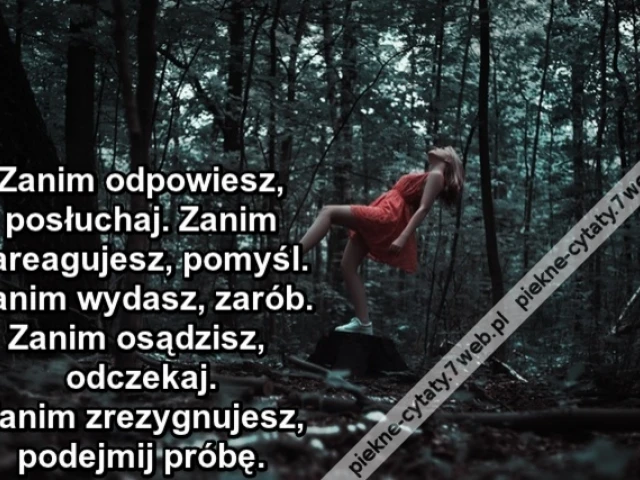 Zanim odpowiesz, posłuchaj. Zanim zareagujesz, pomyśl. Zanim wydasz, zarób. Zanim osądzisz odczekaj. Zanim zrezygnujesz, podejmij próbę.