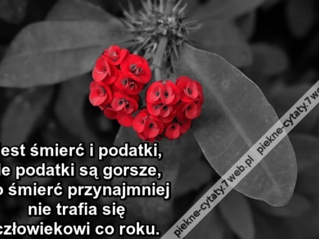 Jest śmierć i podatki, ale podatki są gorsze, bo śmierć przynajmniej nie trafia się człowiekowi co roku.
