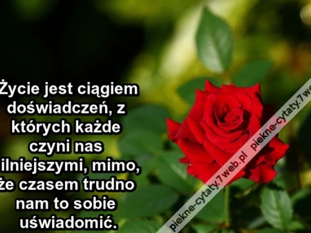 Życie jest ciągiem doświadczeń, z których każde czyni nas silniejszymi, mimo, że czasem trudno nam to sobie uświadomić.