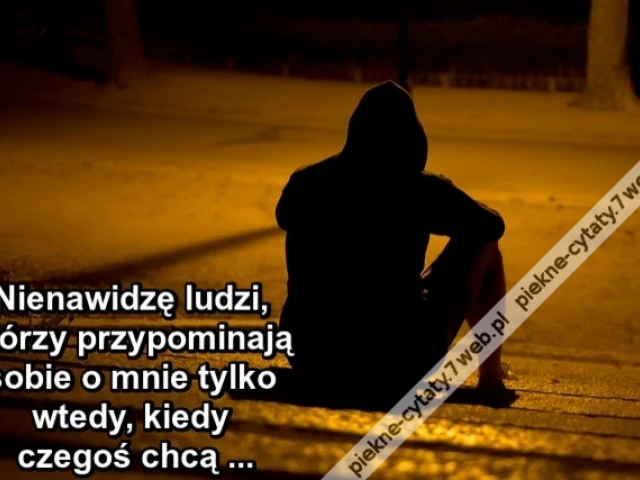 Nienawidzę ludzi, którzy przypominają sobie o mnie tylko wtedy, kiedy czegoś chcą ...
