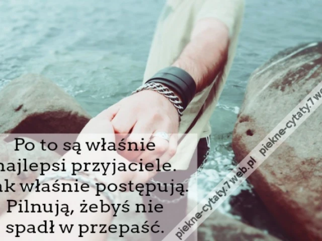 Po to są właśnie najlepsi przyjaciele. Tak właśnie postępują. Pilnują, żebyś nie spadł w przepaść.