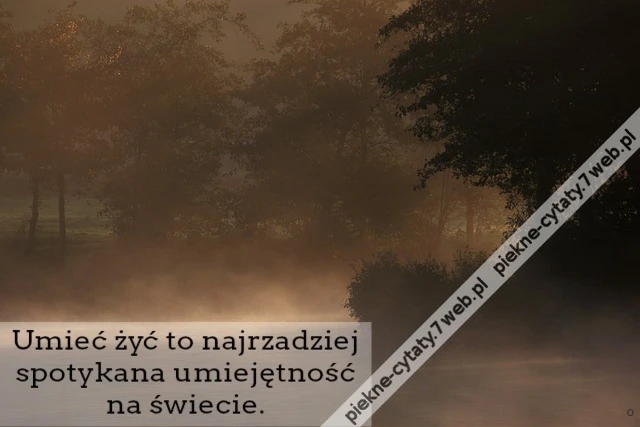 Umieć żyć to najrzadziej spotykana umiejętność na świecie.