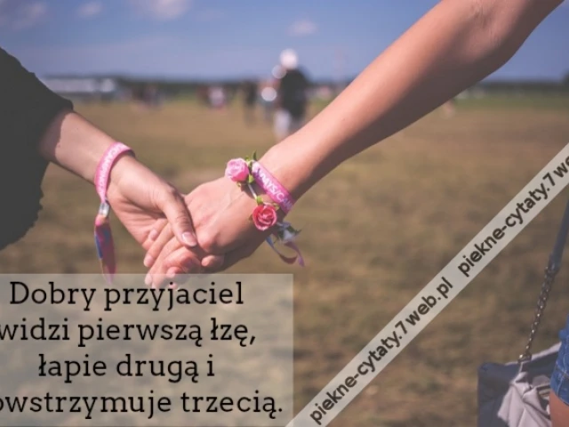Dobry przyjaciel widzi pierwszą łzę, łapie drugą i powstrzymuje trzecią.