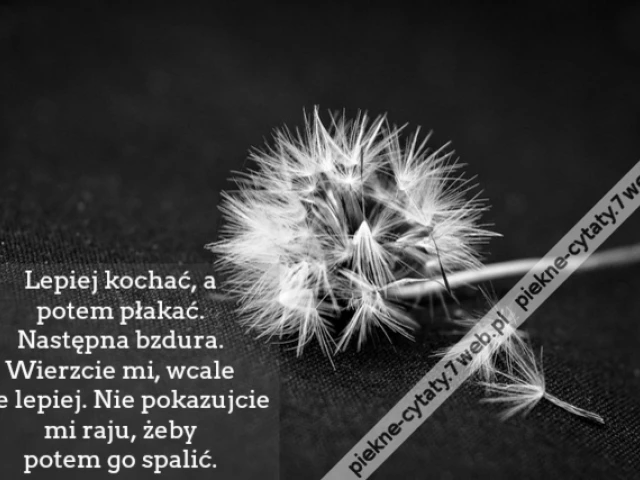 Lepiej kochać, a potem płakać. Następna bzdura. Wierzcie mi, wcale nie lepiej. Nie pokazujcie mi raju, żeby potem go spalić.