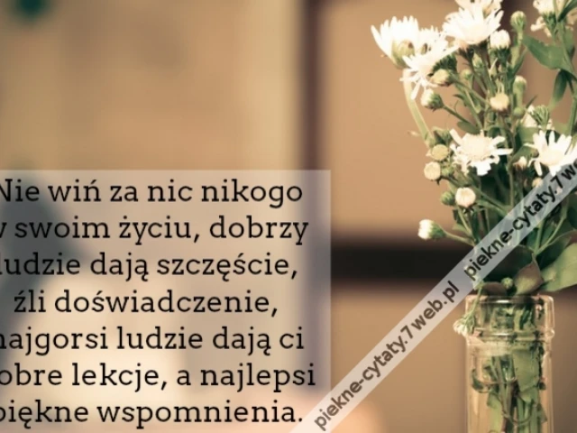Nie wiń za nic nikogo w swoim życiu, dobrzy ludzie dają szczęście,źli doświadczenie, najgorsi ludzie dają ci dobre lekcje, a najlepsi piękne wspomnienia.