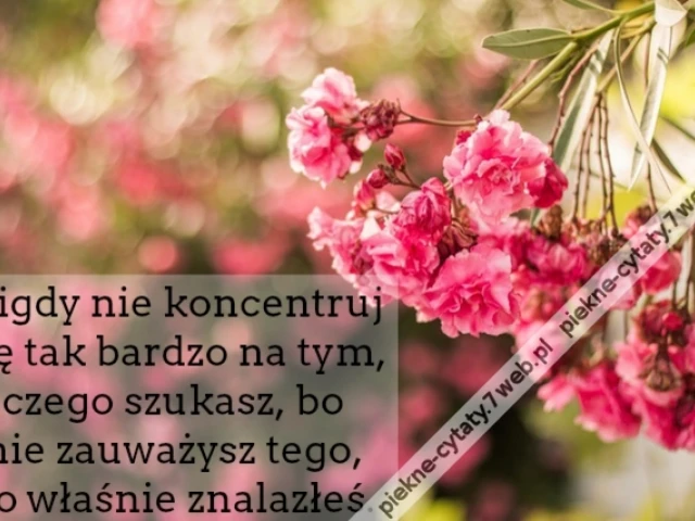 Nigdy nie koncentruj się tak bardzo na tym, czego szukasz, bo nie zauważysz tego, co właśnie znalazłeś.