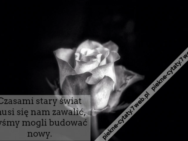 Czasami stary świat musi się nam zawalić, byśmy mogli budować nowy.