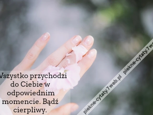 Wszystko przychodzi do Ciebie w odpowiednim.. Myśli. Źródło: Wszystko przychodzi do Ciebie w odpowiednim momencie. Bądź cierpliwy.