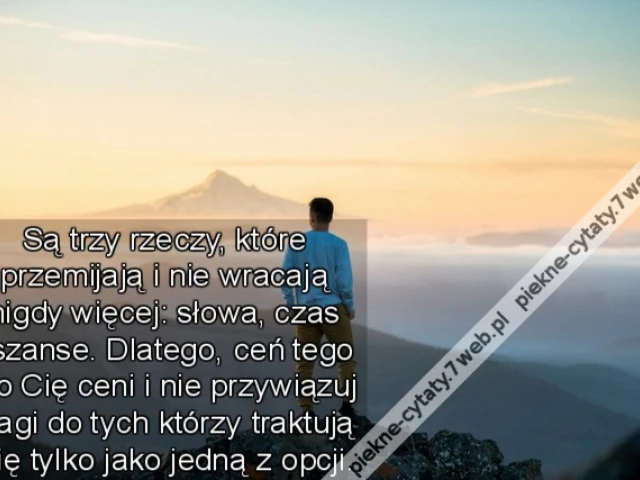 Są trzy rzeczy, które przemijają i nie wracają nigdy więcej: słowa, czas i szanse. Dlatego, ceń tego kto Cię ceni i nie przywiązuj wagi do tych którzy traktują Cię tylko jako jedną z opcji.
