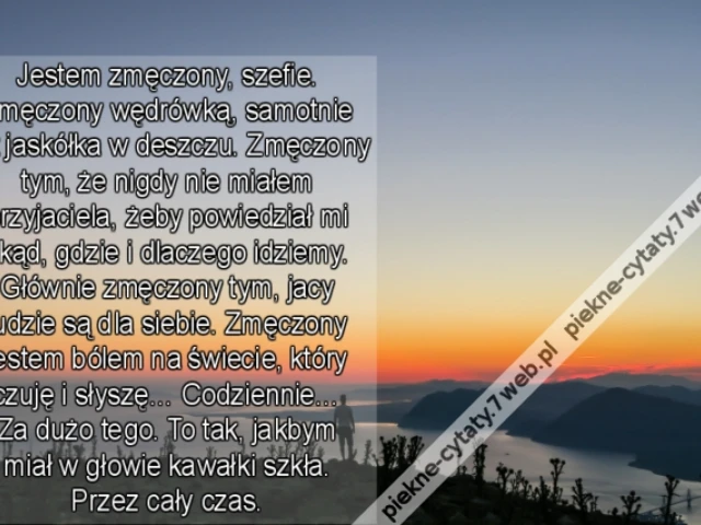 Jestem zmęczony, szefie. Zmęczony wędrówką, samotnie jak jaskółka w deszczu. Zmęczony tym, że nigdy nie miałem przyjaciela, żeby powiedział mi skąd, gdzie i dlaczego idziemy. Głównie zmęczony tym, jacy ludzie są dla siebie. Zmęczony jestem bólem na świeci