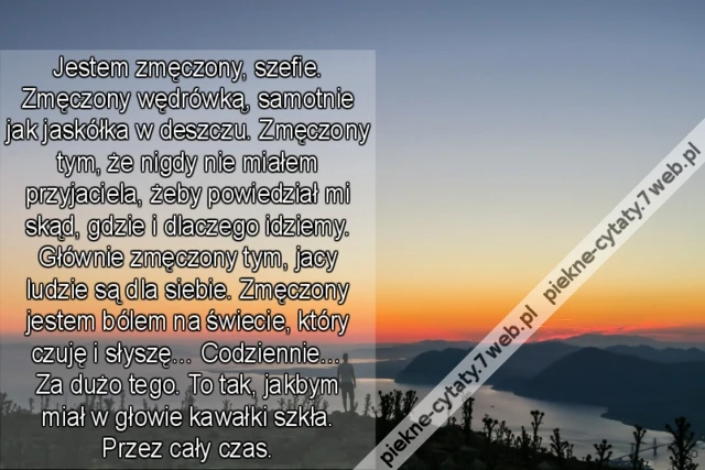 Jestem zmęczony, szefie. Zmęczony wędrówką, samotnie jak jaskółka w deszczu. Zmęczony tym, że nigdy nie miałem przyjaciela, żeby powiedział mi skąd, gdzie i dlaczego idziemy. Głównie zmęczony tym, jacy ludzie są dla siebie. Zmęczony jestem bólem na świeci
