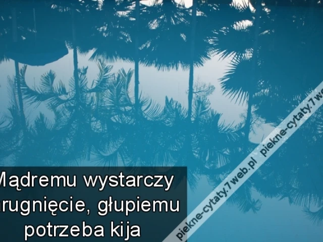 Mądremu wystarczy mrugnięcie, głupiemu potrzeba kija