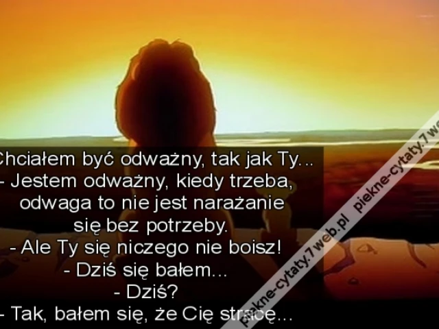 - Chciałem być odważny, tak jak Ty... - Jestem odważny, kiedy trzeba, odwaga to nie jest narażanie się bez potrzeby. - Ale Ty się niczego nie boisz! - Dziś się bałem... - Dziś? - Tak, bałem się, że Cię stracę...
