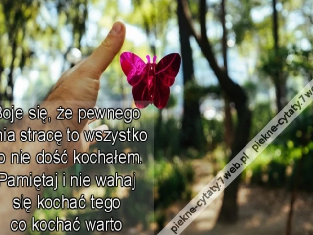 Boje się, że pewnego dnia stracę to wszystko co nie dość kochałem. Pamiętaj i nie wahaj się kochać tego co kochać warto