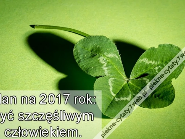 Plan na 2017 rok: być szczęśliwym człowiekiem.