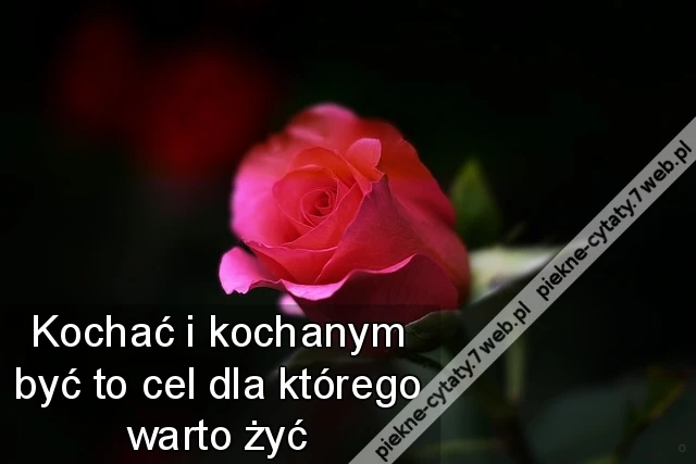Kochać i kochanym być to cel dla którego warto żyć
