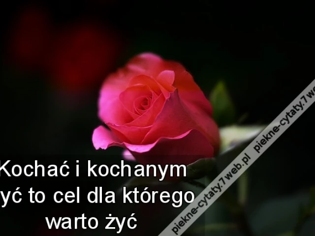 Kochać i kochanym być to cel dla którego warto żyć