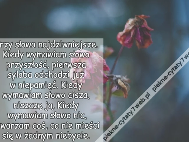 Trzy słowa najdziwniejsze. Kiedy wymawiam słowo przyszłość, pierwsza sylaba odchodzi już w niepamięć. Kiedy wymawiam słowo cisza, niszczę ją. Kiedy wymawiam słowo nic, stwarzam coś, co nie mieści się w żadnym niebycie.