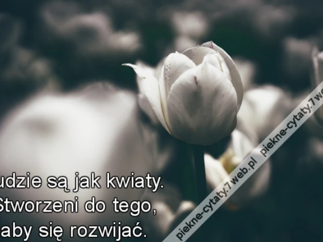 Ludzie są jak kwiaty. Stworzeni do tego, aby się rozwijać.