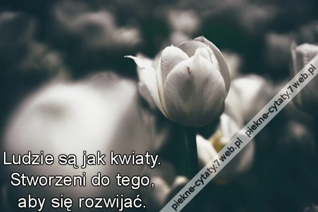 Ludzie są jak kwiaty. Stworzeni do tego, aby się rozwijać.