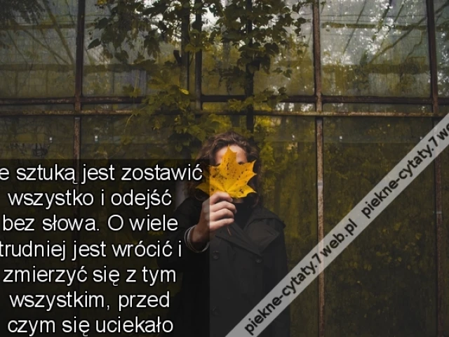 Nie sztuką jest zostawić wszystko i odejść bez słowa. O wiele trudniej jest wrócić i zmierzyć się z tym wszystkim, przed czym się uciekało