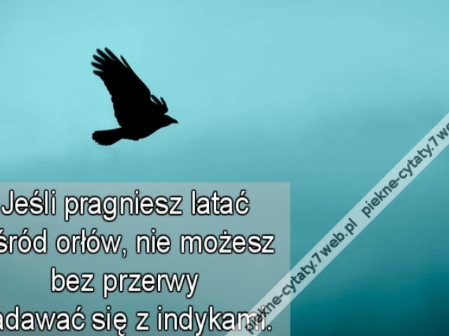 Jeśli pragniesz latać wśród orłów, nie możesz bez przerwy zadawać się z indykami.