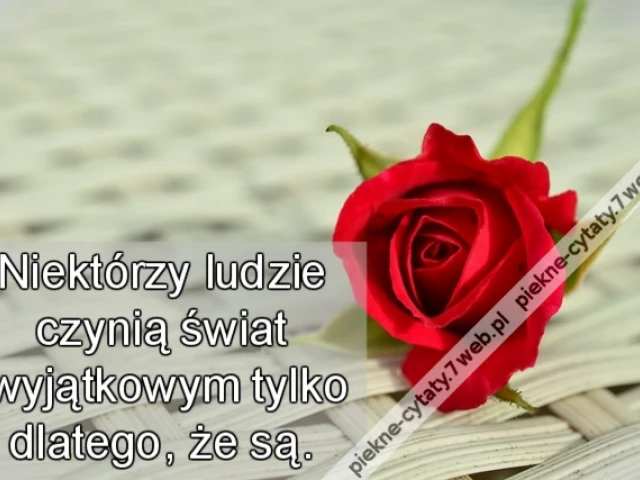 Niektórzy ludzie czynią świat wyjątkowym tylko dlatego,że są.