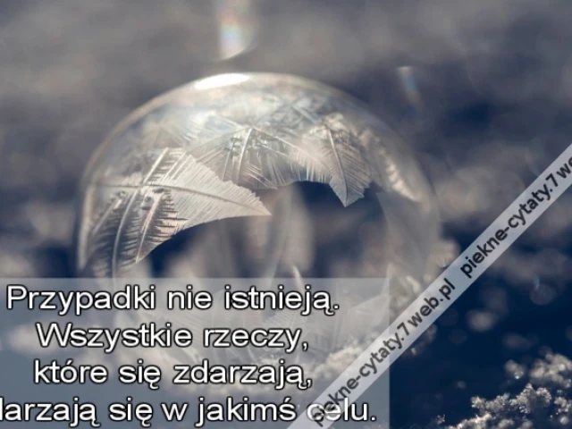 Przypadki nie istnieją. Wszystkie rzeczy, które się zdarzają, zdarzają się w jakimś celu.