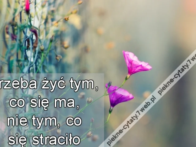 Trzeba żyć tym, co się ma, nie tym, co się straciło