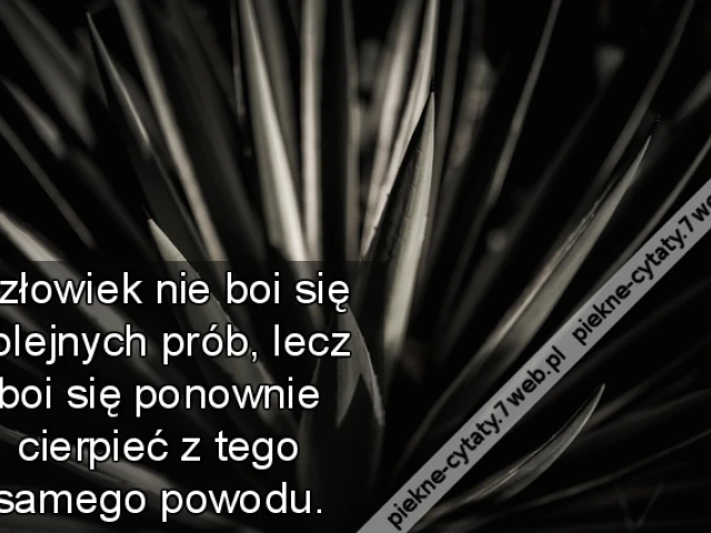 Człowiek nie boi się kolejnych prób, lecz boi się ponownie cierpieć z tego samego powodu.