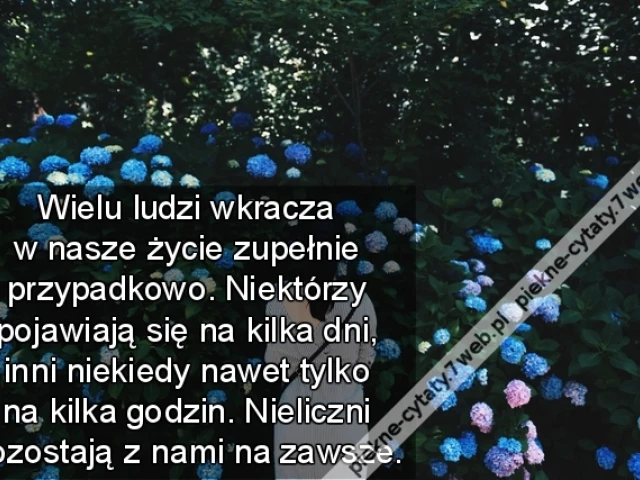 Wielu ludzi wkracza w nasze życie zupełnie przypadkowo. Niektórzy pojawiają się na kilka dni, inni niekiedy nawet tylko na kilka godzin. Nieliczni pozostają z nami na zawsze.