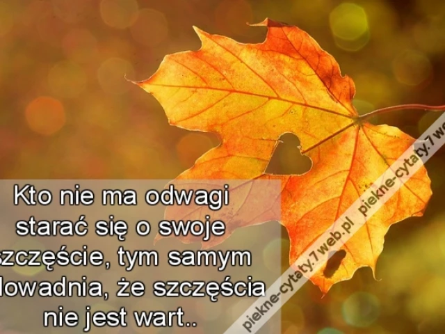 Kto nie ma odwagi starać się o swoje szczęście, tym samym udowadnia, że szczęścia nie jest wart..