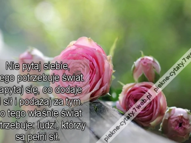 Nie pytaj siebie, czego potrzebuje świat. Zapytaj się, co dodaje Ci sił i podążaj za tym. Bo tego właśnie świat potrzebuje: ludzi, którzy są pełni sił.