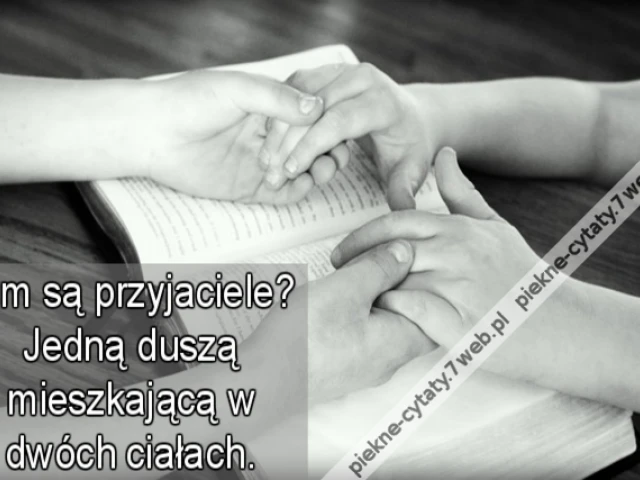 Kim są przyjaciele ? Jedną duszą mieszkającą w dwóch ciałach.