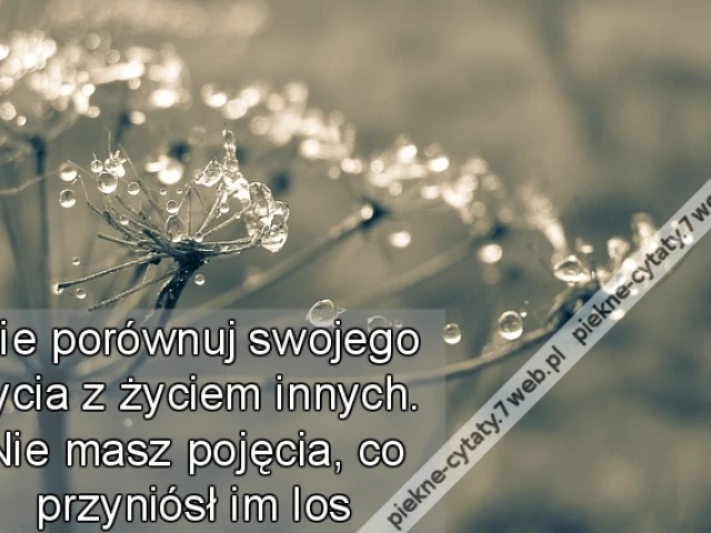 Nie porównuj swojego życia z życiem innych. Nie masz pojęcie, co przyniósł im los