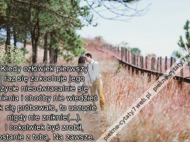 Kiedy człowiek pierwszy raz się zakochuje jego życie nieodwracalnie się zmienia i choćby nie wiedzieć jak się próbowało, to uczucie nigdy nie zniknie(...). I cokolwiek byś zrobił, zostanie z tobą. Na zawsze.