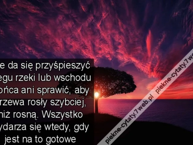 Nie da się przyśpieszyć biegu rzeki lub wschodu słońca ani sprawić, aby drzewa rosły szybciej, niż rosną. Wszystko wydarza się wtedy, gdy jest na to gotowe