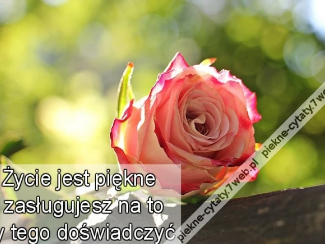 Życie jest piękne i zasługujesz na to by tego doświadczyć