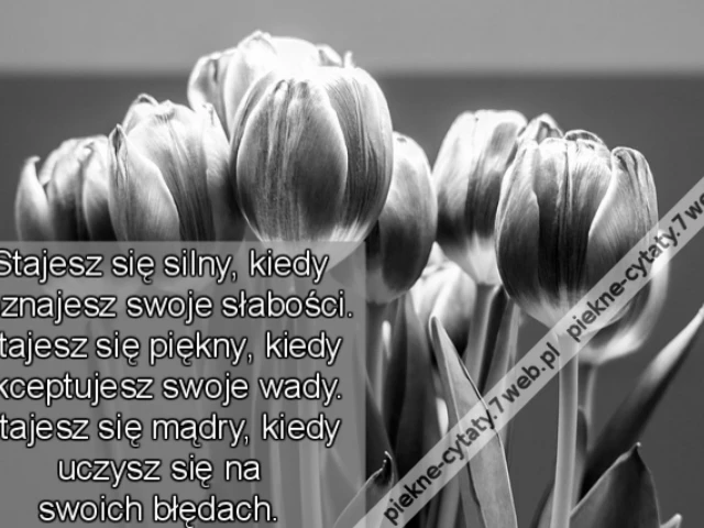 Stajesz się silny, kiedy poznajesz swoje słabości. Stajesz się piękny, kiedy akceptujesz swoje wady. Stajesz się mądry, kiedy uczysz się na swoich błędach.