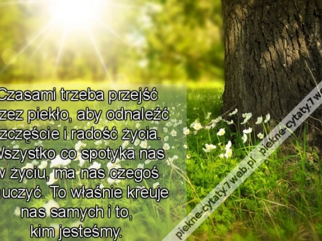 Czasami trzeba przejść przez piekło, aby odnaleźć szczęście i radość życia. Wszystko co spotyka nas w życiu, ma nas czegoś nauczyć. To właśnie kreuje nas samych i to, kim jesteśmy.